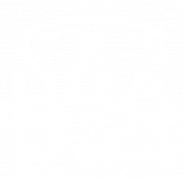 DOA Pest Service logo
