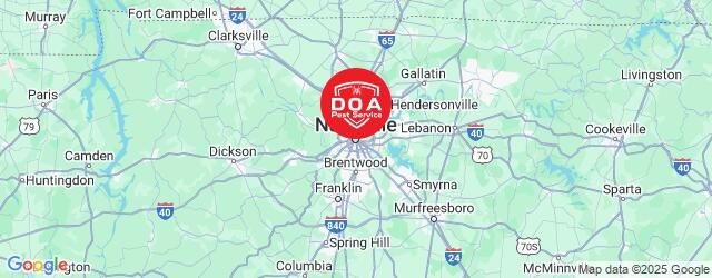 DOA Service Area