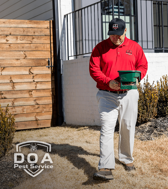 Pest Control Services
