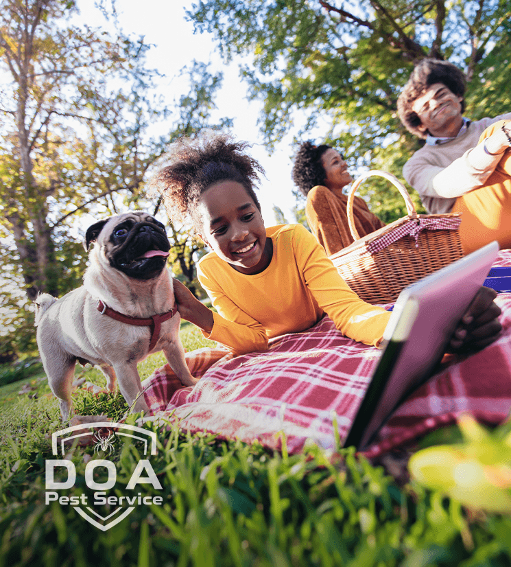 Family picnic