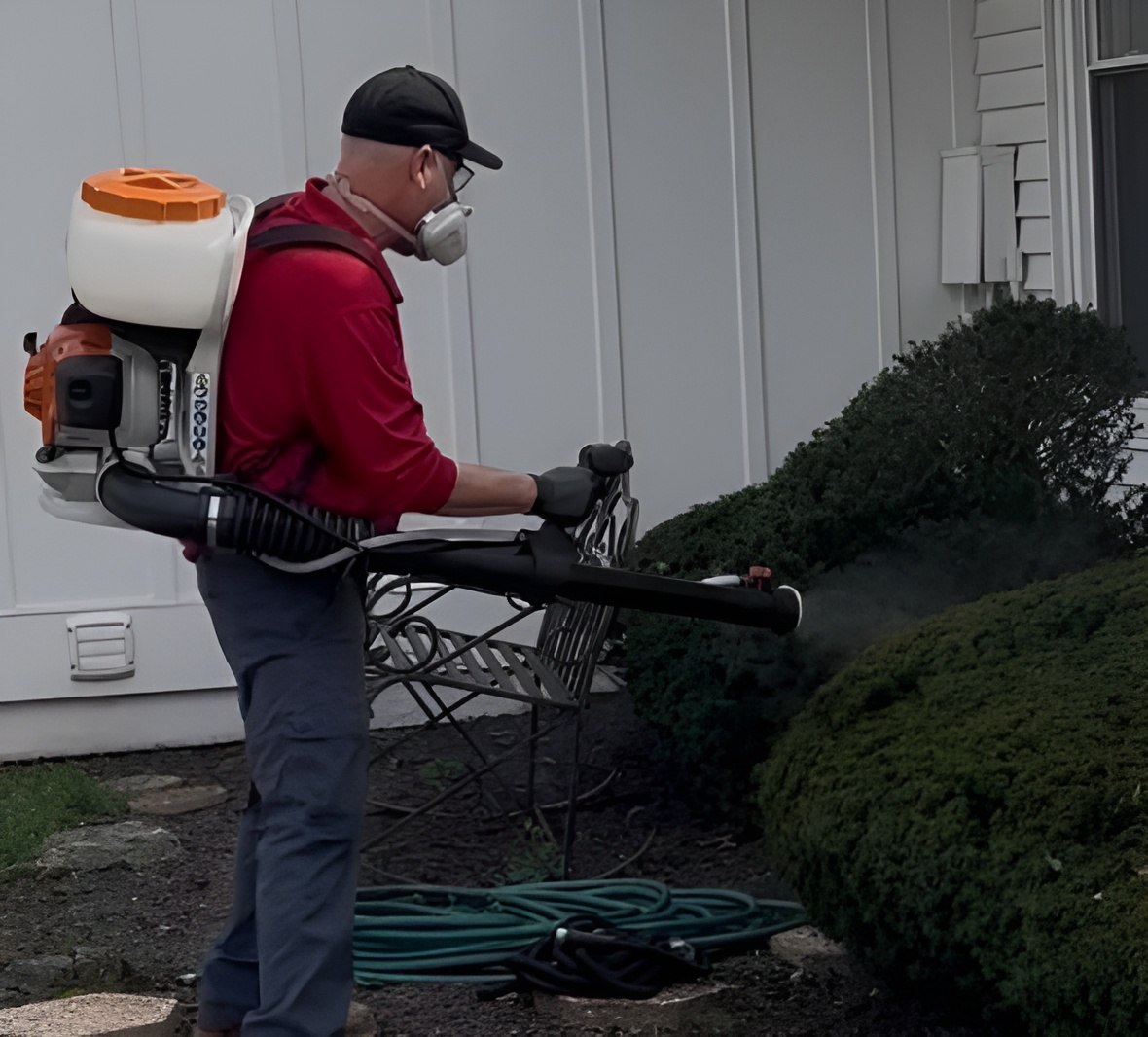 A pest control technician wearing a red polo shirt, grey cargo pants, a black baseball cap, a respirator mask, and protective gloves sprays outdoor landscaping. The technician is operating a large, gas-powered backpack fogger, directing a fine mist into a dense green decorative bush alongside a white residential building.